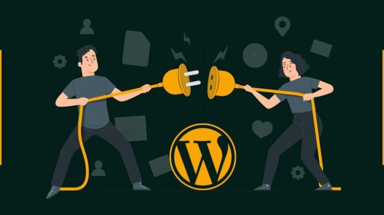 Advantages_Of_Custom_Plugin_Development_On_WordPress_-_WordPress_Website