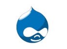 drupal developer