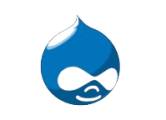 drupal developer