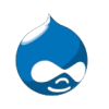 drupal developer