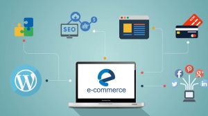 E-commerce-company Full Stack Developer