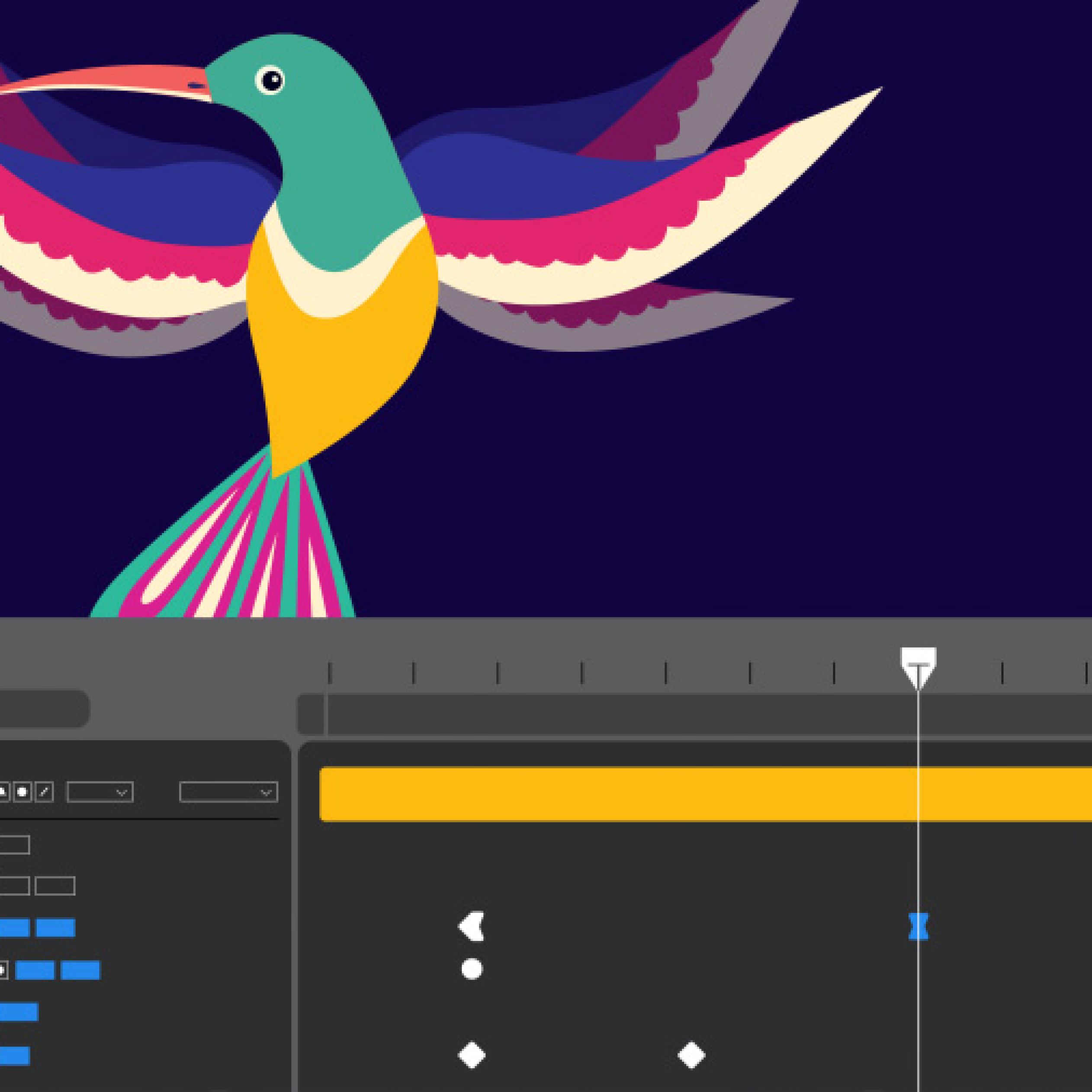 Motion Graphics Software