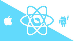 Hybrid App Development