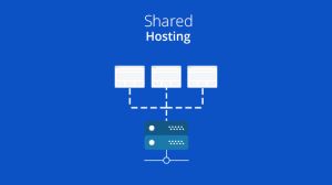 What is Web Hosting and Domain