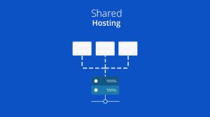 What is Web Hosting and Domain